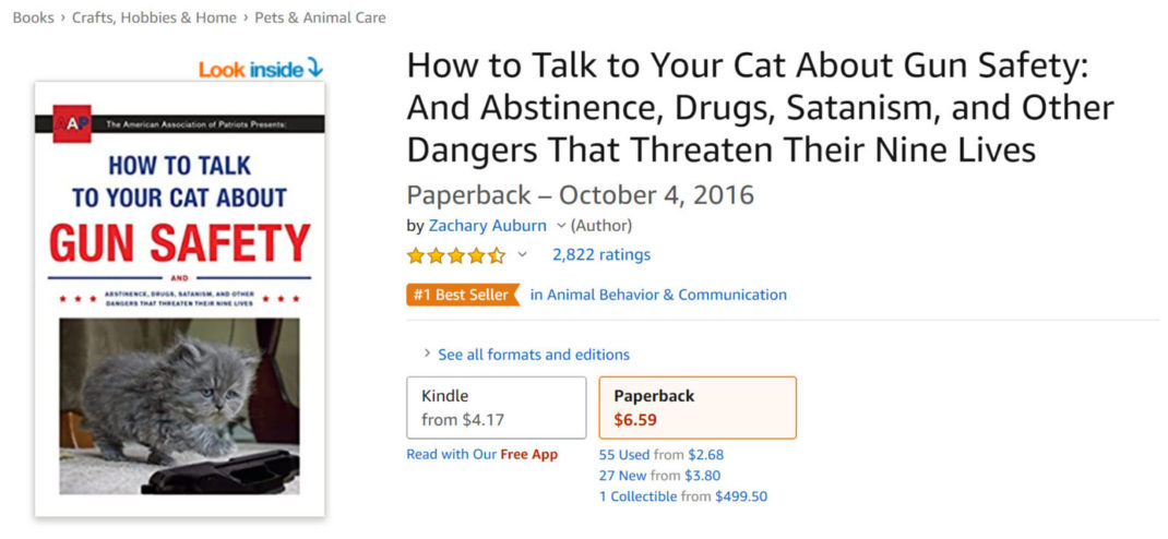How to Talk to Your Cat About Gun Safety